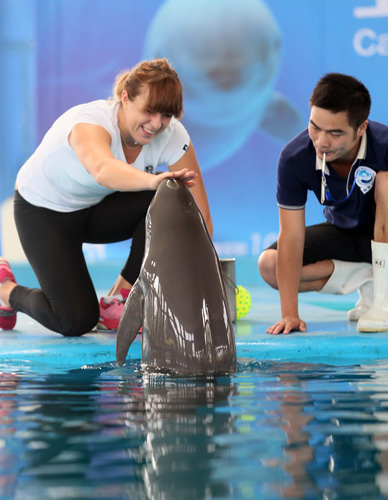 赛季执法的 赛季执法的